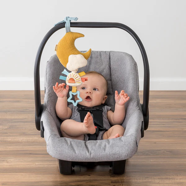 Shop for your new little miracle!