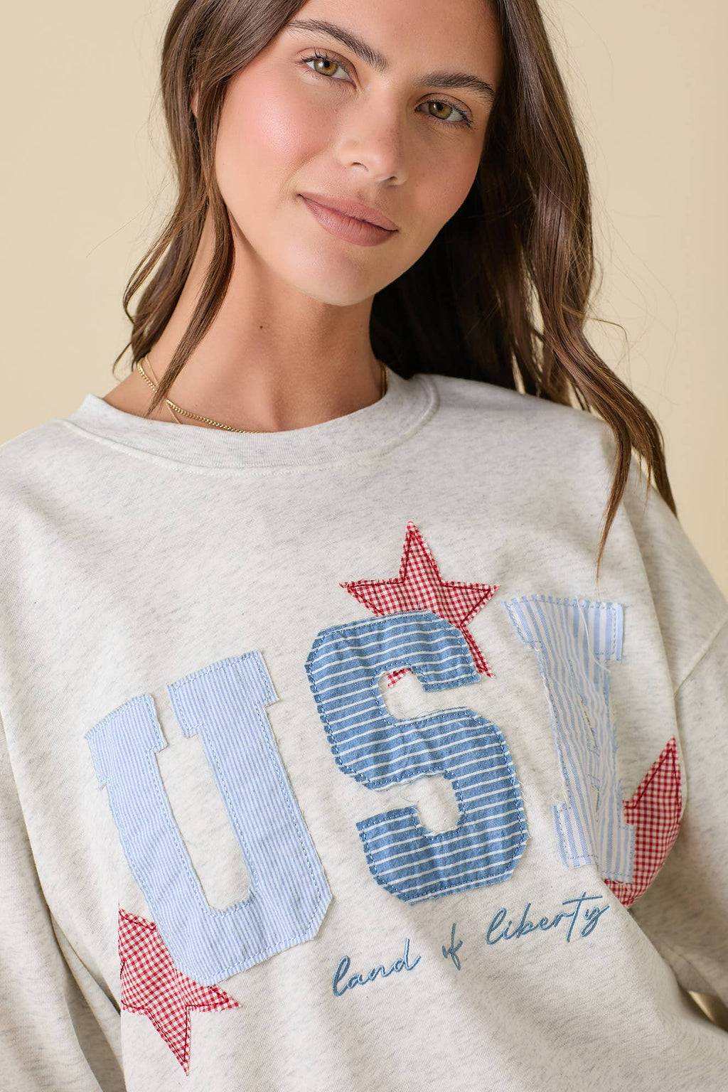 USA SweatShirt