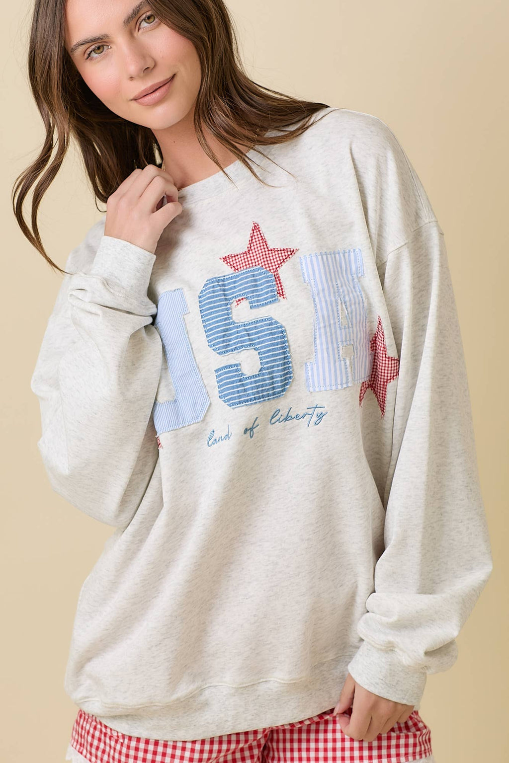 USA SweatShirt